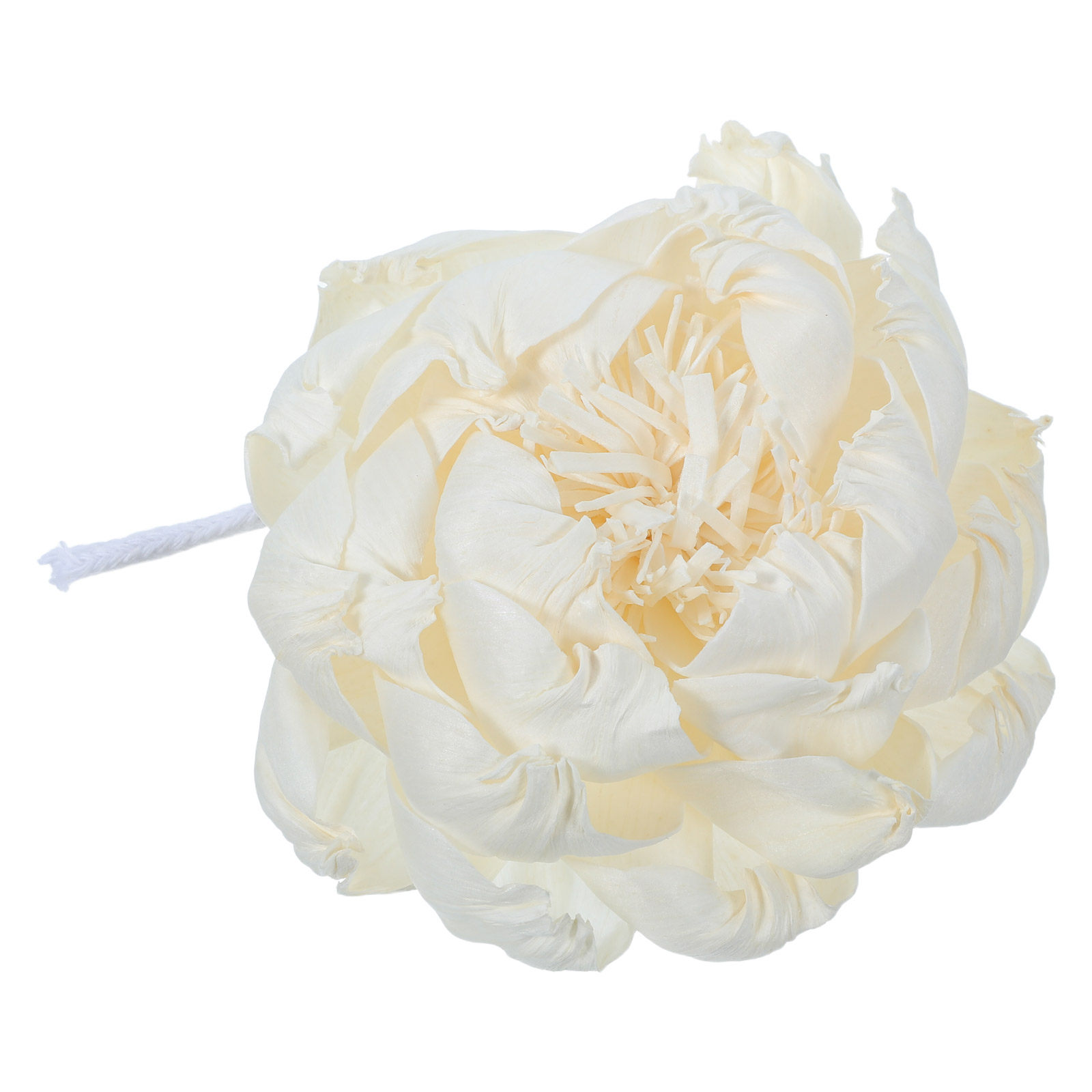 Peony Head Fragrance Diffuser  - Fragrance Home Decor ulasan dan harga